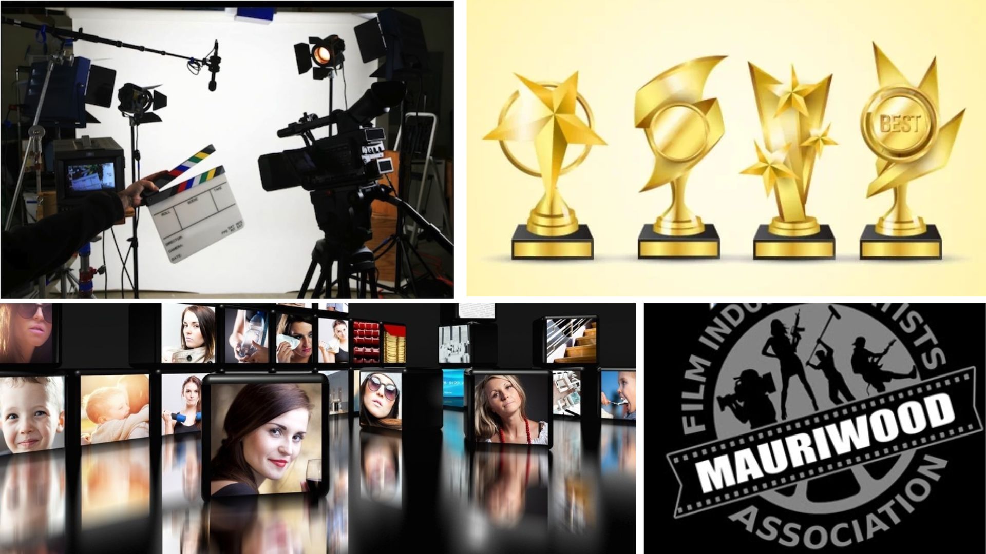 India Mauritius Business and Cultural Council - Culture of Mauritius in Mauritius Film Industry